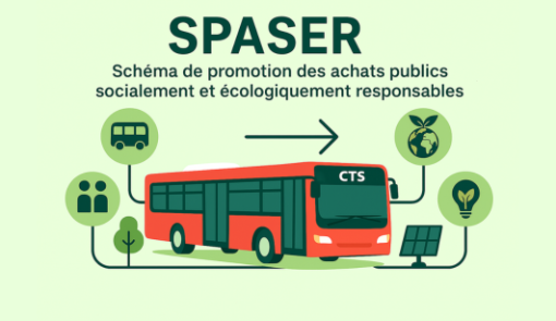 Icône SPASER